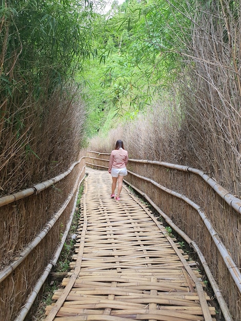 Photo railroad track