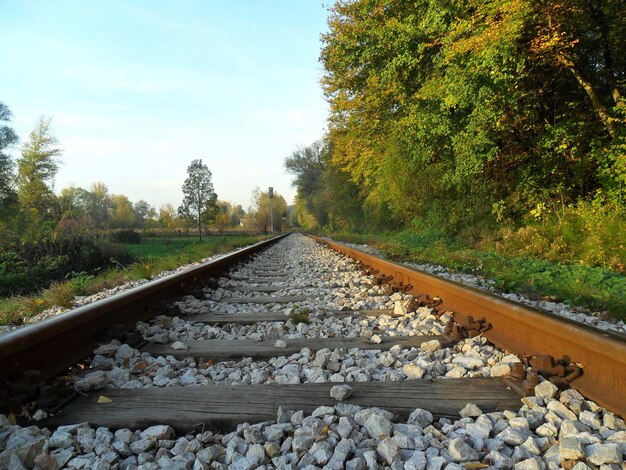 Photo railroad track