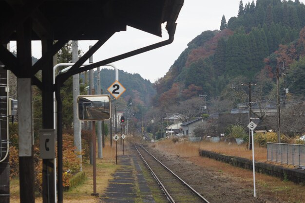 写真 空に照らされた木々の中の鉄道線路