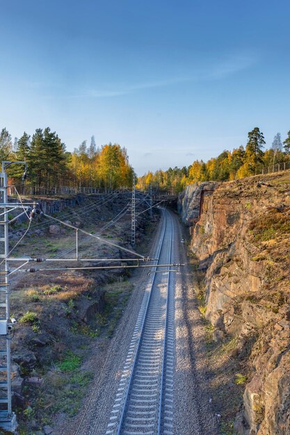 写真 天空を背景に木々の中の鉄道線路