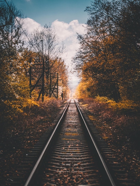天空を背景に木々の中の鉄道線路