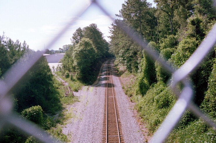 Photo 天空を背景に木々の中の鉄道線路