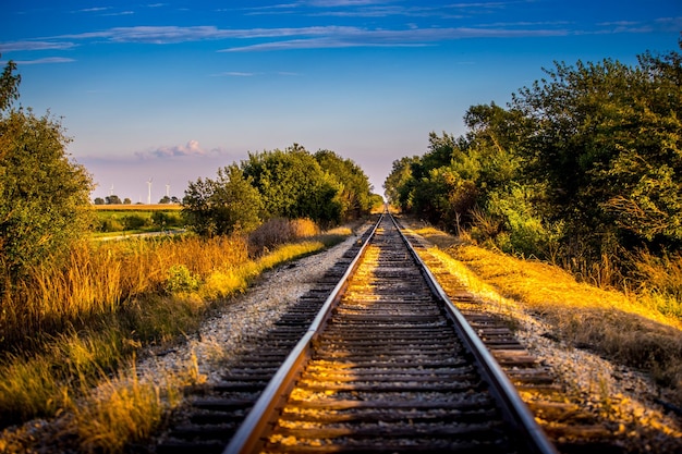 写真 空に照らされた木々の中の鉄道線路