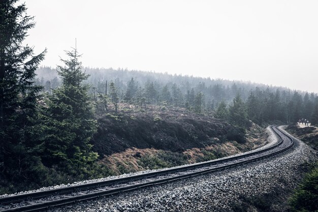 写真 天空を背景に木々の中の鉄道線路