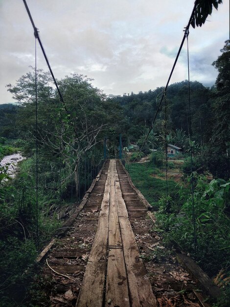 Railroad tracks amidst trees in forest against sky