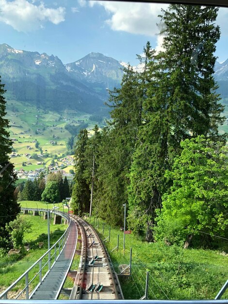天空に照らされた木や山の中の鉄道線路