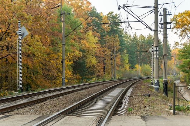 Binari ferroviari sullo sfondo della foresta autunnale