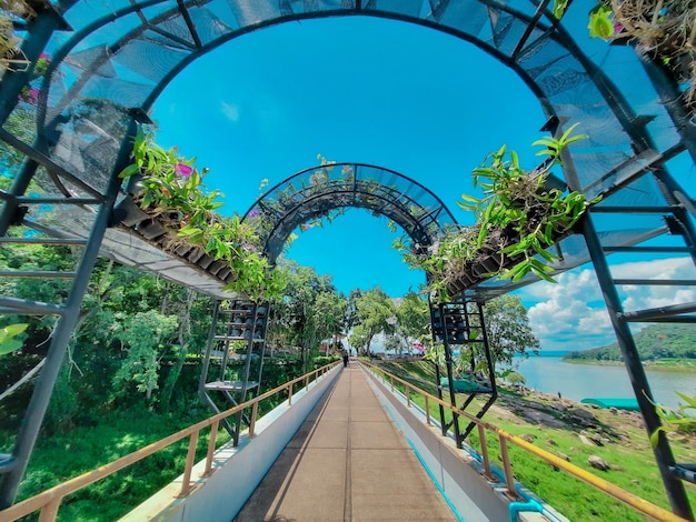 写真 空に向かう橋の鉄道線路