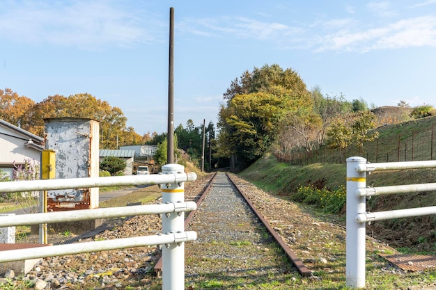 Foto i binari della ferrovia dagli alberi contro il cielo