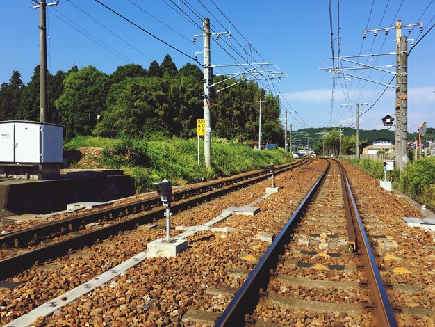 Foto tracce ferroviarie tra gli alberi contro il cielo