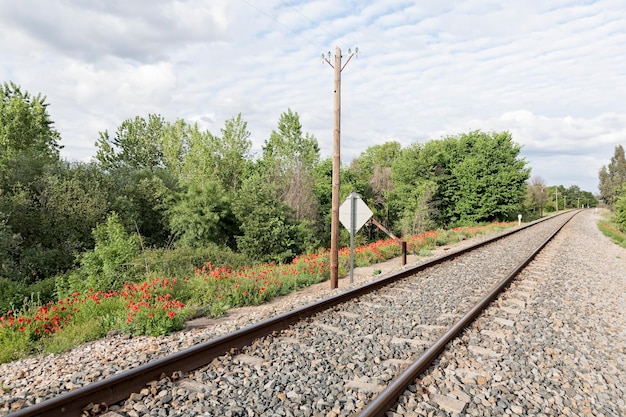 Foto i binari della ferrovia dagli alberi contro il cielo