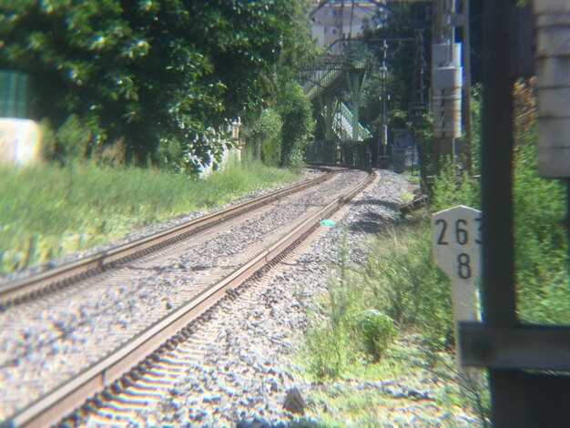 Railroad tracks by trees during sunny day