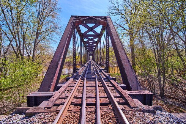 Photo railroad tracks in forest