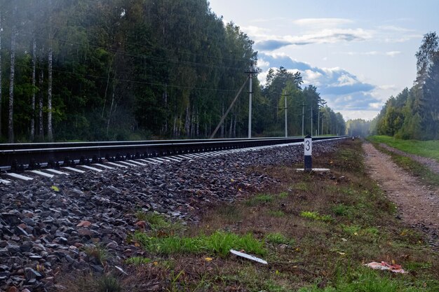 Железнодорожные пути уходят вдаль в лес