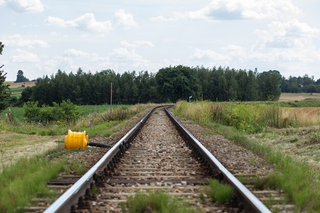 Railroad tracks near forest