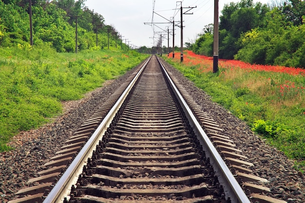 Rails of the railway among flowers and trees