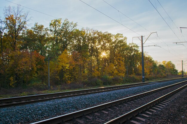 秋の鉄道