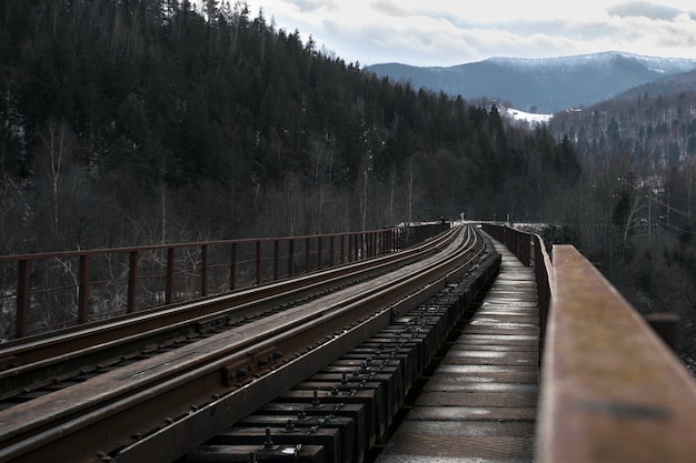 Railway bridge among snowy mountains. Travels. Transport.