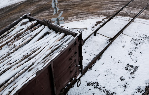 Photo railway cars loaded with forest the train transports trees many different cars