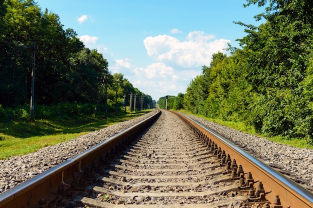 La ferrovia va all'orizzonte, su entrambi i lati della fitta foresta verde.