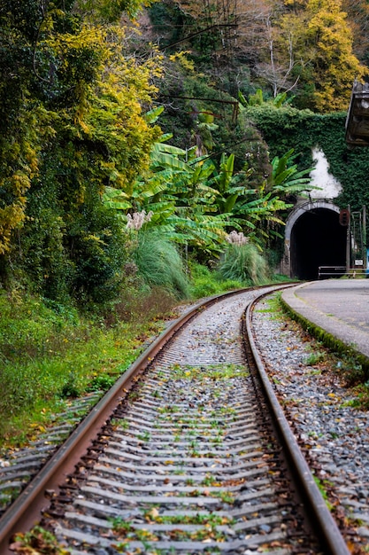 古いトンネルに通じるコーカサスで運行されている鉄道