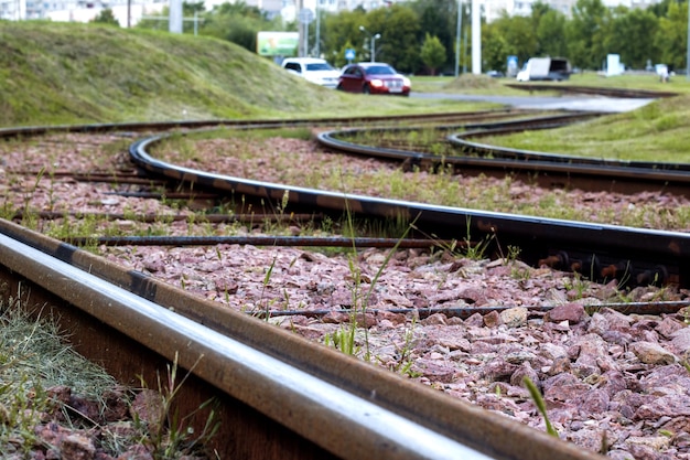 Railway rails in the forest against the background of trees