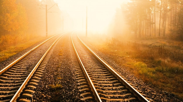 The railway runs through the autumn forest. The rays of the morning sun cut through the fog.