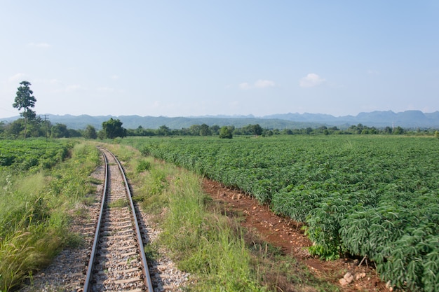 Railway,Thailand. It is classical railway.