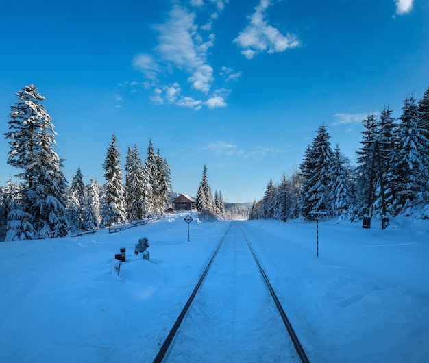 写真 雪の森を横断する鉄道 カルパチア山脈の遠隔地にあるアルプス山脈