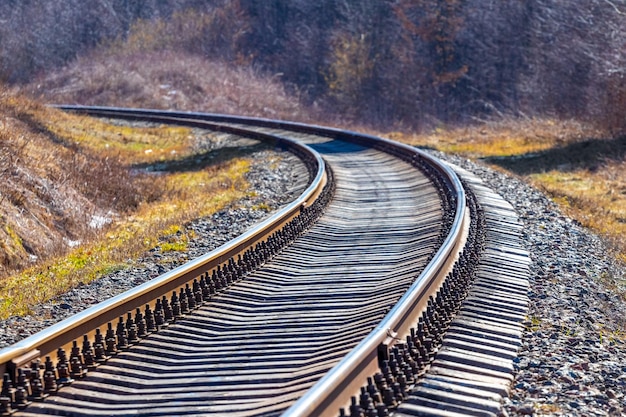 Railway track in the forest among the trees in spring