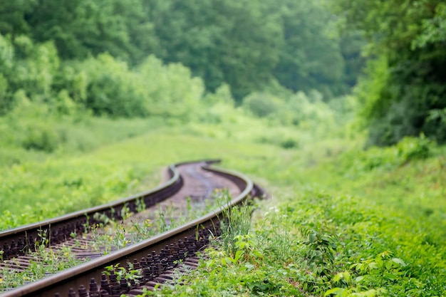 Railway track going to zigzag among picturesque nature