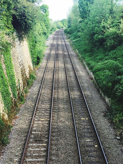 Railway tracks amidst trees against sky