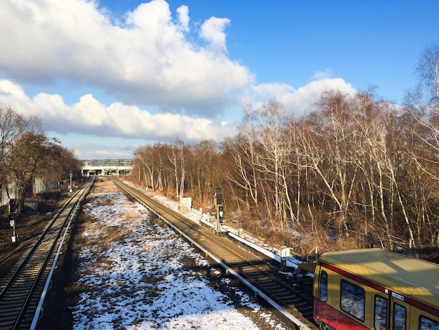 天空を背景に木々の中の鉄道線路