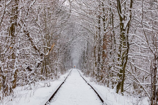 A railway in the winter forest tunnel of love. romantic place