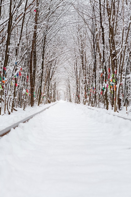 A railway in the winter forest tunnel of love