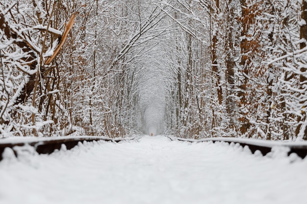 A railway in the winter forest tunnel of love