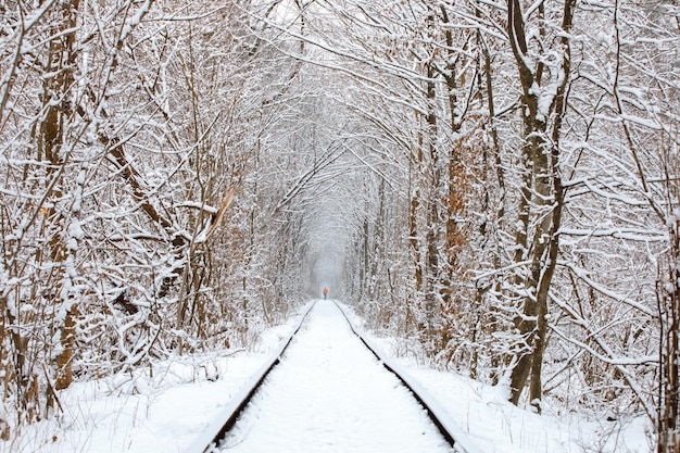 Una ferrovia nel tunnel della foresta invernale dell'amore