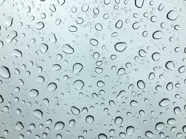 Rain  drop on glass