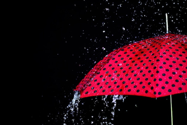 雨滴傘が分離されました