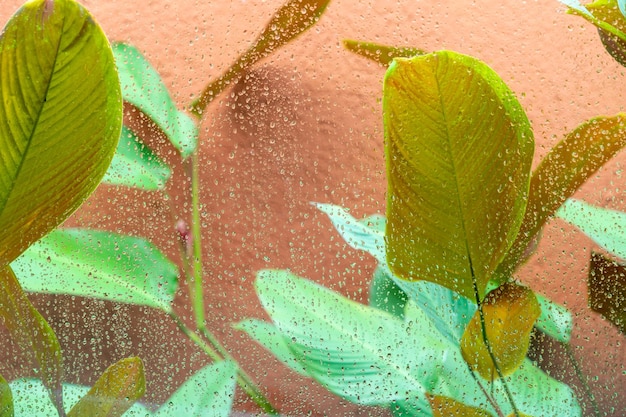 Rain drop on window glass with blue sky and cloud background