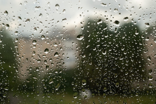 ガラスに雨が降る