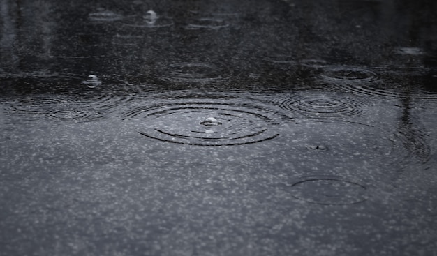 写真 夜の激しい雨の間に雨滴が飛び散る。選択的な焦点と浅い被写界深度。