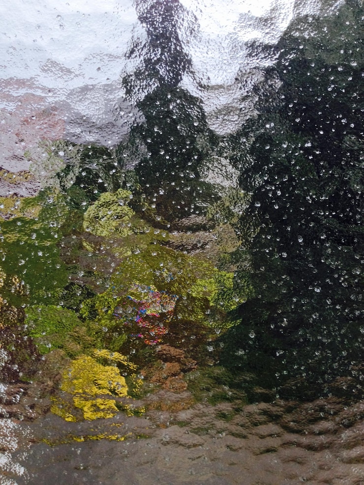 Photo 雨滴落在樹幹上
