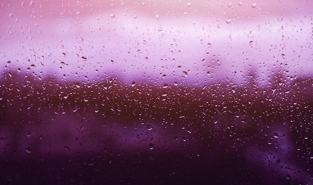 Purple Rain Wallpapers  Wallpaper Cave