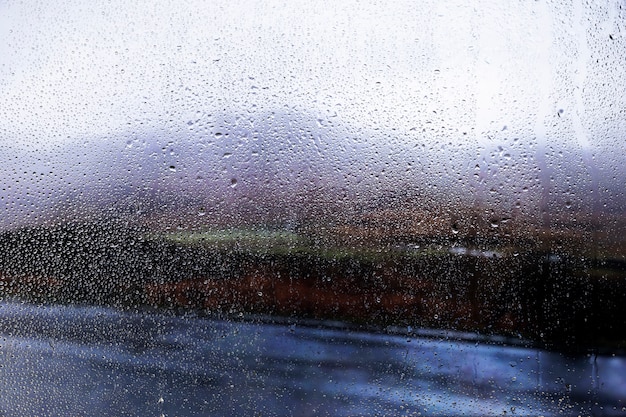 自然の背景に対する雨の影響