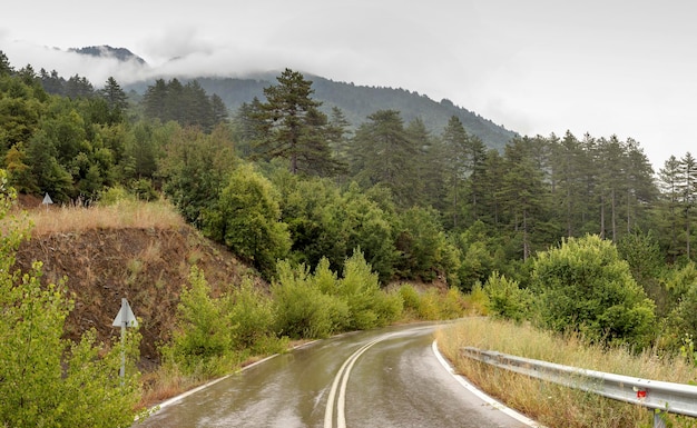 Rain and fog on the old mountain wet road in the countryside Epirus region Greece