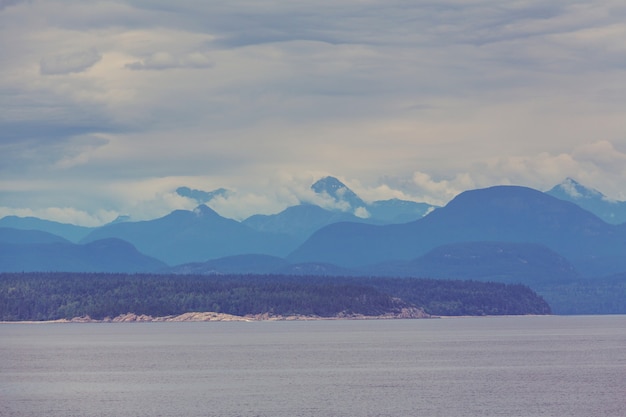 Rain forest in Vancouver island, British Columbia, Canada