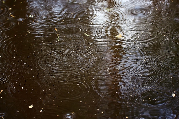 雨の水たまりの円、アクア抽象的な背景、テクスチャ秋の水