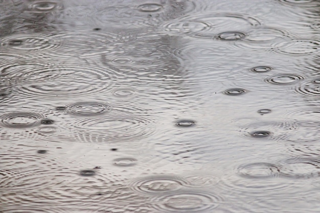 雨の水たまりの円、アクア抽象的な背景、テクスチャ秋の水