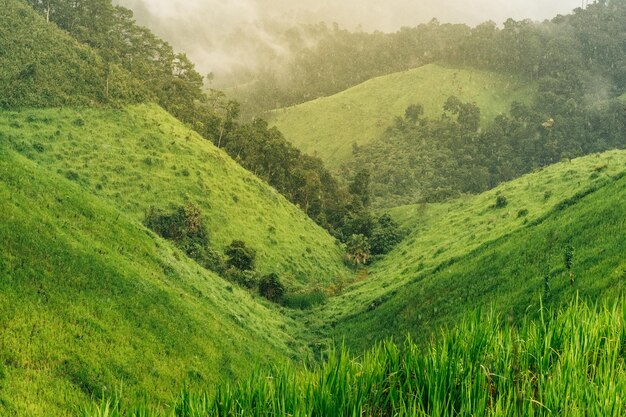 Rain and sun in the valley